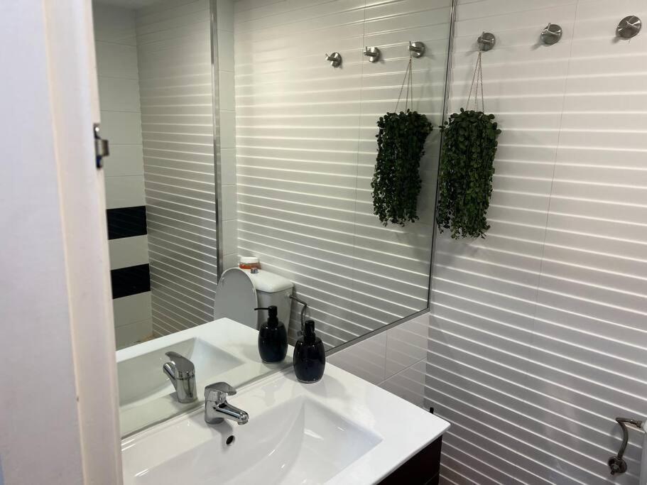Oasis Appartement Torrevieja